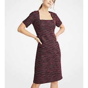 Ann Taylor Red and Black Knit Dress